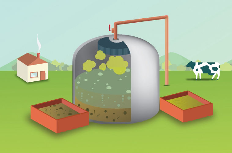 Biodigestores - como economizar energia e gerar lucro